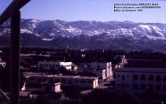 Mas- 140- Blida